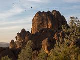 Pinnacles 032